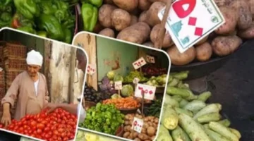 كم سعر كيلو الطماطم اليوم؟ أسعار الخضراوات والفاكهة في كفر الشيخ